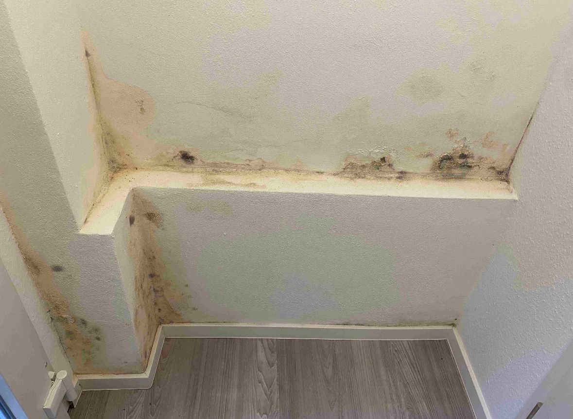 Evopor Referenz Feuchtigkeitsschaden Wand Vorher 
